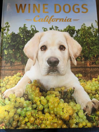 Wine Dog Book